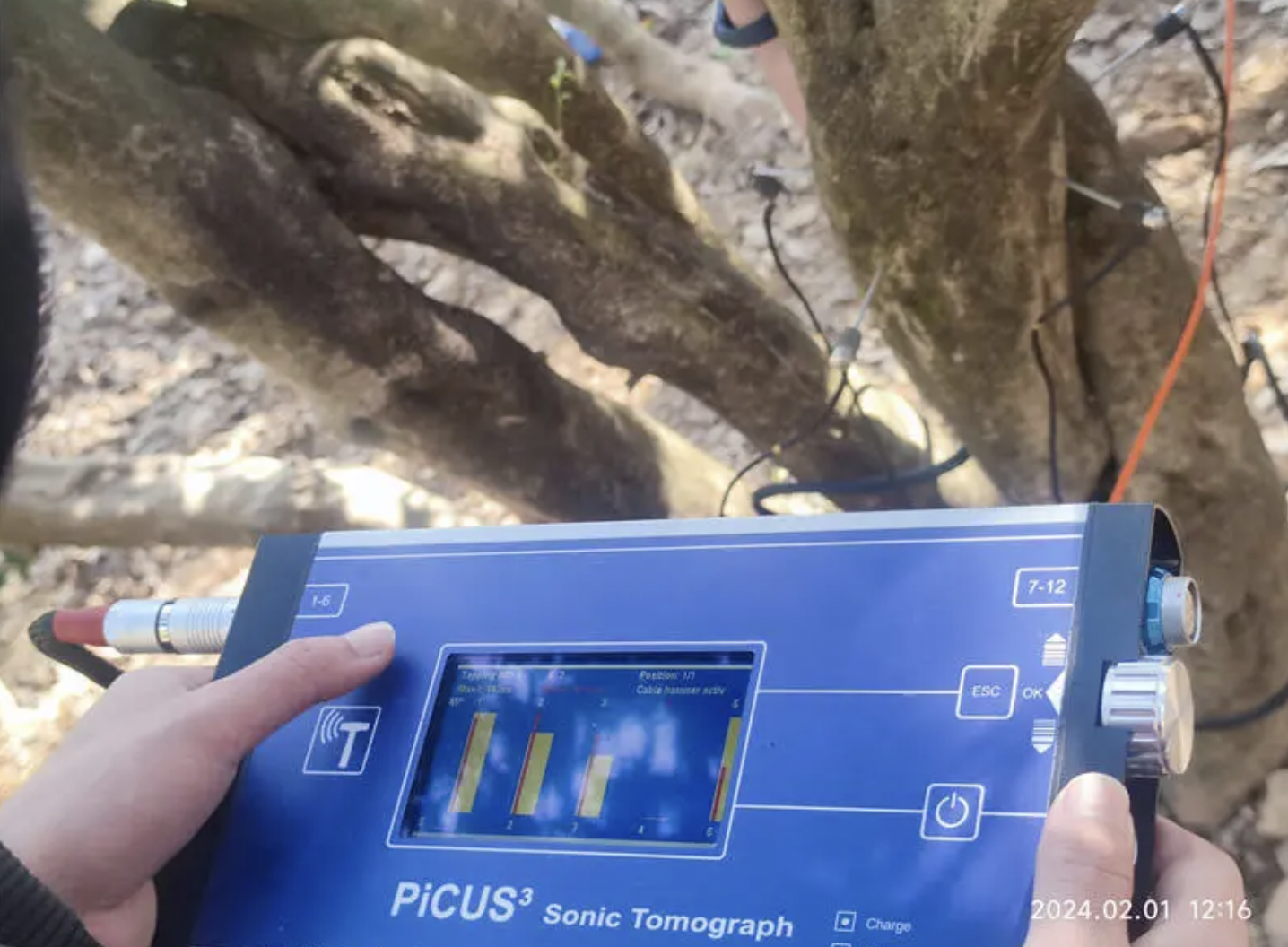 原標(biāo)題：昆明首次對(duì)小葉種古茶樹(shù)進(jìn)行“雷達(dá)體檢”