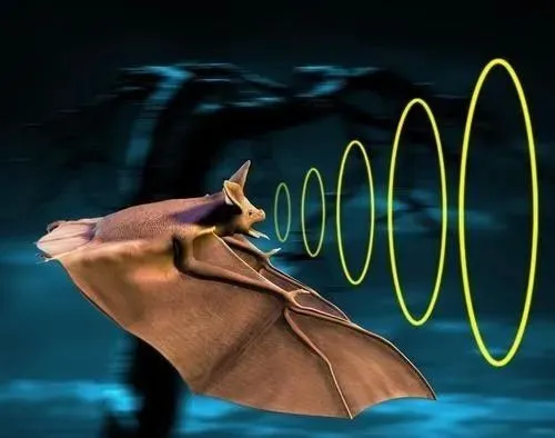 從超聲波到雷達到相控陣?yán)走_ 雷達技術(shù)一路升級打怪